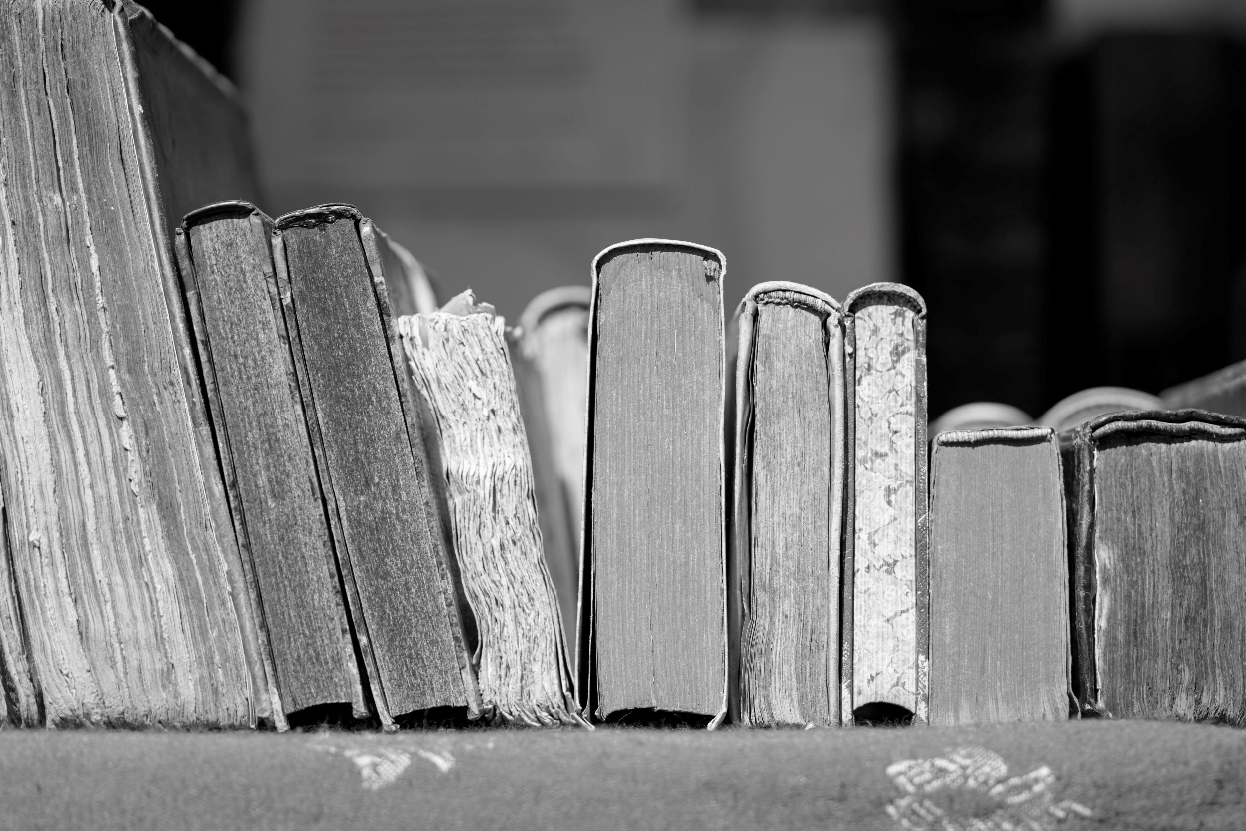 books lined up for services page